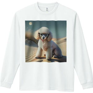 TVc lԗp Y Ht vg W[ AEghA JWA 킢 t@  v[h Kl  