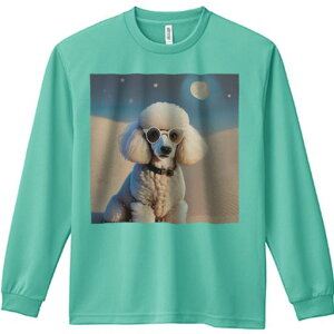 TVc lԗp Y Ht vg W[ AEghA JWA 킢 t@  v[h   Kl