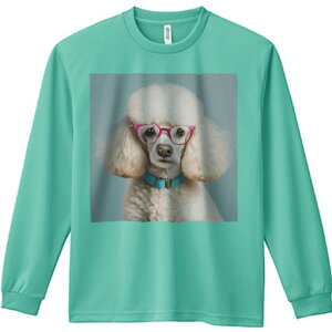 TVc lԗp Y Ht vg W[ AEghA JWA 킢 t@ Kl v[h  