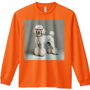 TVc lԗp Y Ht vg W[ AEghA JWA 킢 t@ Kl v[h sN̎ Ȍ 킢