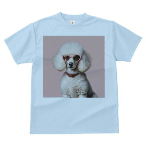 TVc Y LbY t@  t  vg JWA 킢 lԗp tBbglX _X Kl v[h sN   JCC