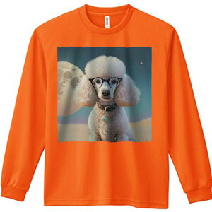 TVc lԗp Y Ht vg W[ AEghA JWA 킢 t@  v[h   Kl y_g