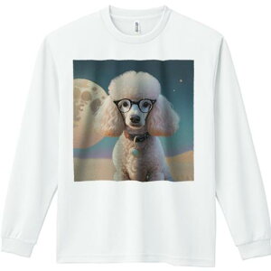 TVc lԗp Y Ht vg W[ AEghA JWA 킢 t@  v[h   Kl y_g