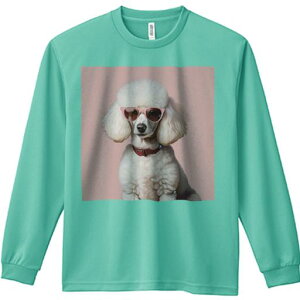 TVc lԗp Y Ht vg W[ AEghA JWA 킢 t@ Kl v[h sN   JCC