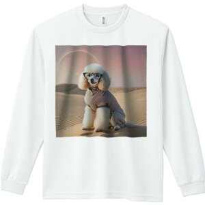 TVc lԗp Y Ht vg W[ AEghA JWA 킢 t@ Kl v[h  [Ă