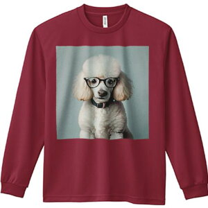 TVc lԗp Y Ht vg W[ AEghA JWA 킢 t@ Kl v[h  X^CbV t@bViu