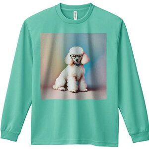 TVc lԗp Y Ht vg W[ AEghA JWA 킢 t@ Kl v[h  Jtwi t@bViu