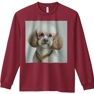 TVc lԗp Y Ht vg W[ AEghA JWA 킢 t@ Kl v[h lN^C  IV ybg