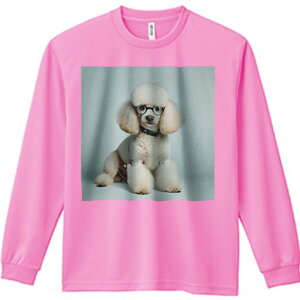 TVc lԗp Y Ht vg W[ AEghA JWA 킢 t@ Kl v[h j[N 