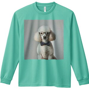 TVc lԗp Y Ht vg W[ AEghA JWA 킢 t@ Kl v[h lN^C  t@bV 