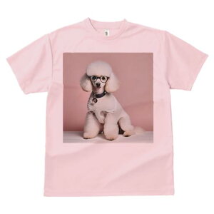 TVc Y LbY t@  t  vg JWA 킢 lԗp tBbglX _X Kl v[h Z[^[ wisN