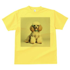 TVc Y LbY t@  t  vg JWA 킢 lԗp tBbglX _X Kl v[h   Ί