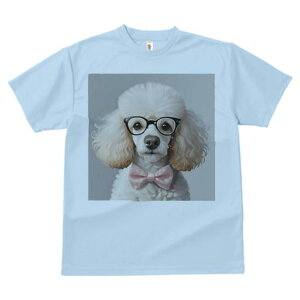 TVc Y LbY t@  t  vg JWA 킢 lԗp tBbglX _X Kl v[h lN^C 