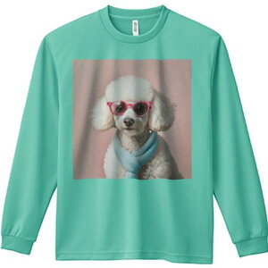 TVc lԗp Y Ht vg W[ AEghA JWA 킢 t@ Kl v[h }t[ sN F 