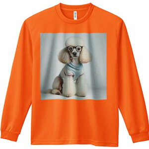 TVc lԗp Y Ht vg W[ AEghA JWA 킢 t@ Kl v[h   j[N