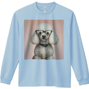 TVc lԗp Y Ht vg W[ AEghA JWA 킢 t@ Kl v[h sN̔wi