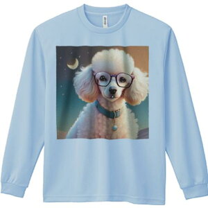 TVc lԗp Y Ht vg W[ AEghA JWA 킢 t@ Kl v[h  