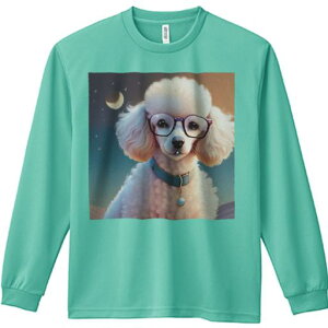 TVc lԗp Y Ht vg W[ AEghA JWA 킢 t@ Kl v[h  