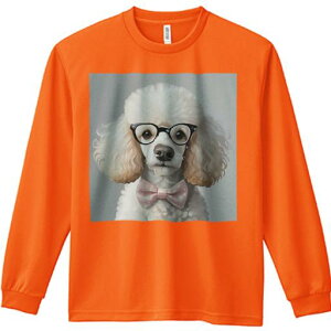 TVc lԗp Y Ht vg W[ AEghA JWA 킢 t@ Kl v[h lN^C 