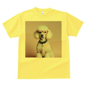 TVc Y LbY t@  t  vg JWA 킢 lԗp tBbglX _X Kl v[h ԐF wisN