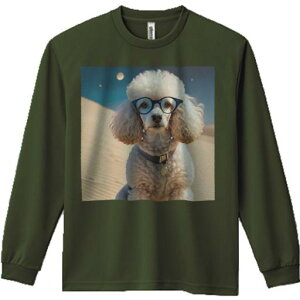 TVc lԗp Y Ht vg W[ AEghA JWA 킢 t@ Kl v[h   