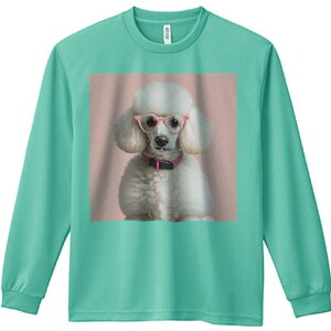 TVc lԗp Y Ht vg W[ AEghA JWA 킢 t@ Kl v[h sN̋  ʔ