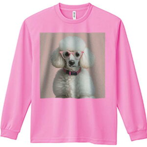 TVc lԗp Y Ht vg W[ AEghA JWA 킢 t@ Kl v[h sN̋  ʔ