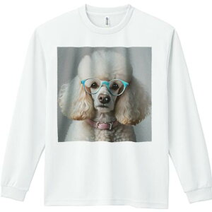 TVc lԗp Y Ht vg W[ AEghA JWA 킢 t@ Kl v[h sN̎