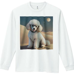 TVc lԗp Y Ht vg W[ AEghA JWA 킢 t@ Kl v[h   