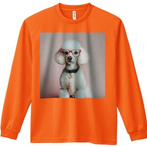 TVc lԗp Y Ht vg W[ AEghA JWA 킢 t@ Kl v[h ԐF wisN