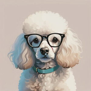 Kl v[h  NbVJo[ 45×45cm Aj}   NbV{̕t ` t@