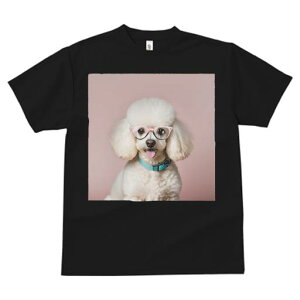 TVc Y LbY t@  t  vg JWA 킢 lԗp tBbglX _X Kl v[h 