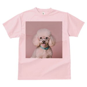 TVc Y LbY t@  t  vg JWA 킢 lԗp tBbglX _X Kl v[h 