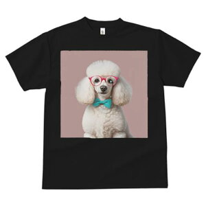 TVc Y LbY t@  t  vg JWA 킢 lԗp tBbglX _X Ԃዾ v[h lN^C sN̔wi