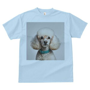 TVc Y LbY t@  t  vg JWA 킢 lԗp tBbglX _X Kl v[h J[ p[ 