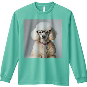 TVc lԗp Y Ht vg W[ AEghA JWA 킢 t@ Kl v[h  ^O