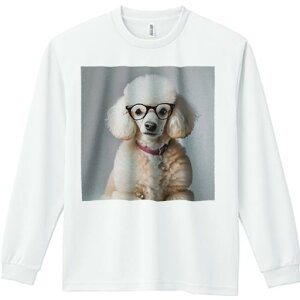 TVc lԗp Y Ht vg W[ AEghA JWA 킢 t@ Kl v[h  ^O