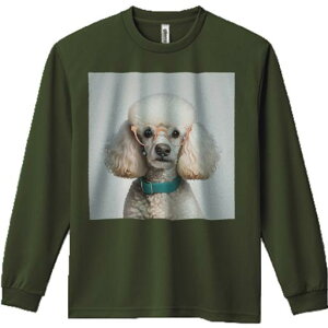 TVc lԗp Y Ht vg W[ AEghA JWA 킢 t@ Kl v[h J[ p[ 