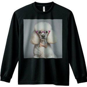 TVc lԗp Y Ht vg W[ AEghA JWA 킢 t@ Kl v[h {  