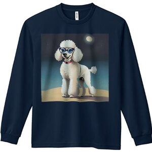 TVc lԗp Y Ht vg W[ AEghA JWA 킢 t@ Kl v[h   r[` Z[^[