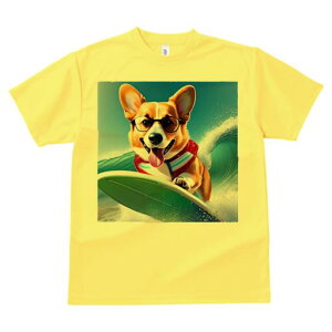 TVc Y LbY t@  t  vg JWA 킢 lԗp tBbglX _X T[tB R[M[ g TOX ^Ngbv