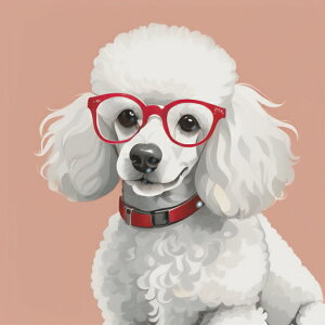 ߂ v[h Ԃ NbVJo[ 45×45cm Aj}   NbV{̕t ` t@