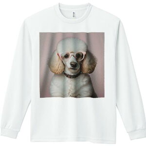 TVc lԗp Y Ht vg W[ AEghA JWA 킢 t@ Kl v[h sN wi