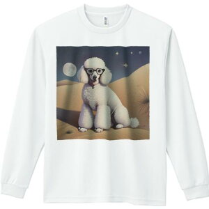 TVc lԗp Y Ht vg W[ AEghA JWA 킢 t@  v[h   Kl