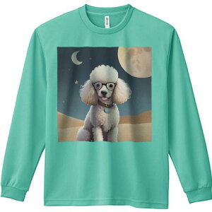 TVc lԗp Y Ht vg W[ AEghA JWA 킢 t@ Kl v[h    