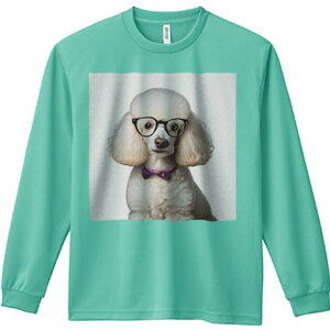 TVc lԗp Y Ht vg W[ AEghA JWA 킢 t@ Kl v[h lN^C