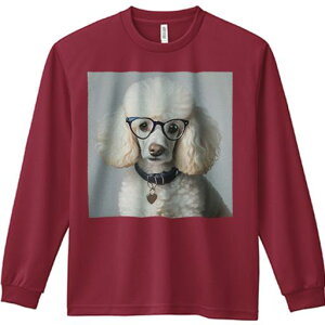 TVc lԗp Y Ht vg W[ AEghA JWA 킢 t@ Kl v[h  n[g^̃^O