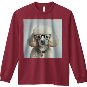 TVc lԗp Y Ht vg W[ AEghA JWA 킢 t@ Kl v[h 