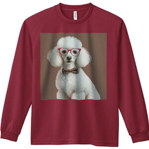 TVc lԗp Y Ht vg W[ AEghA JWA 킢 t@ Kl v[h lN^C