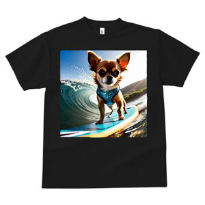 TVc Y LbY t@  t  vg JWA 킢 lԗp tBbglX _X T[tB ` g  T[t{[h 